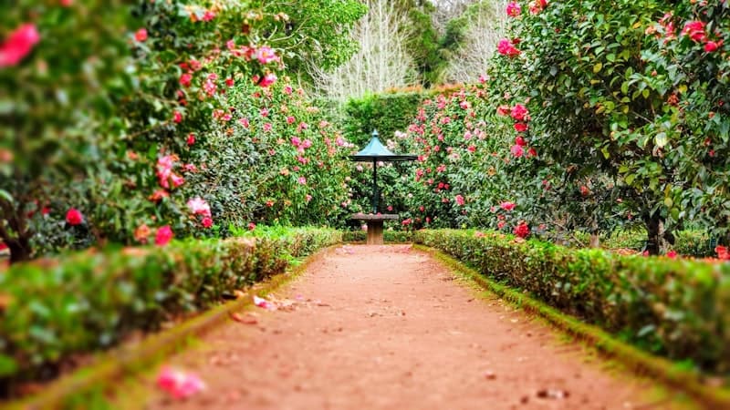 Beautiful garden setting - Local Village Care